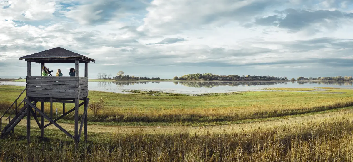 Le birding – un loisir populaire