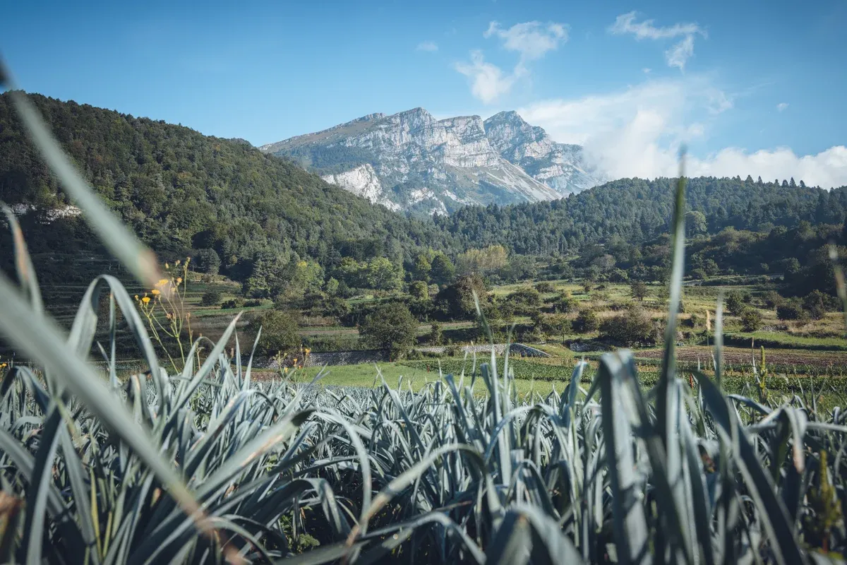 Val di Gresta – the hidden, green garden paradise