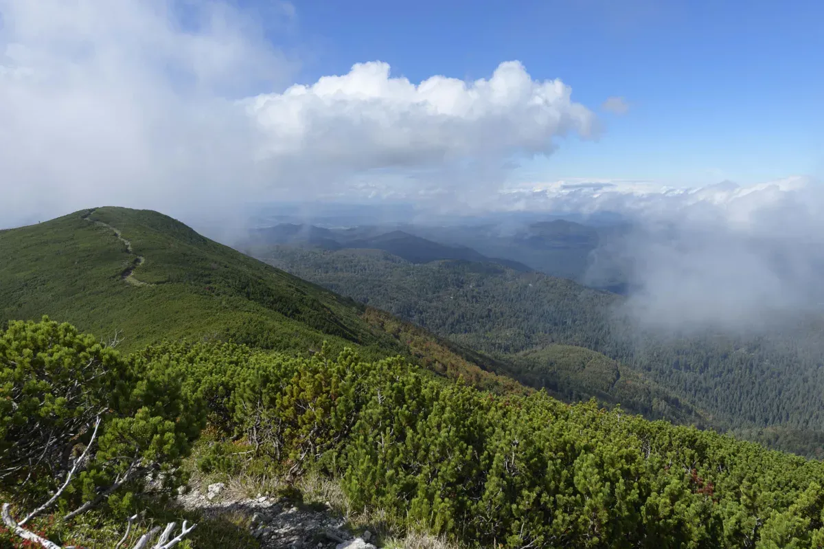 Slovenia: Piccolo paese con foreste straordinarie