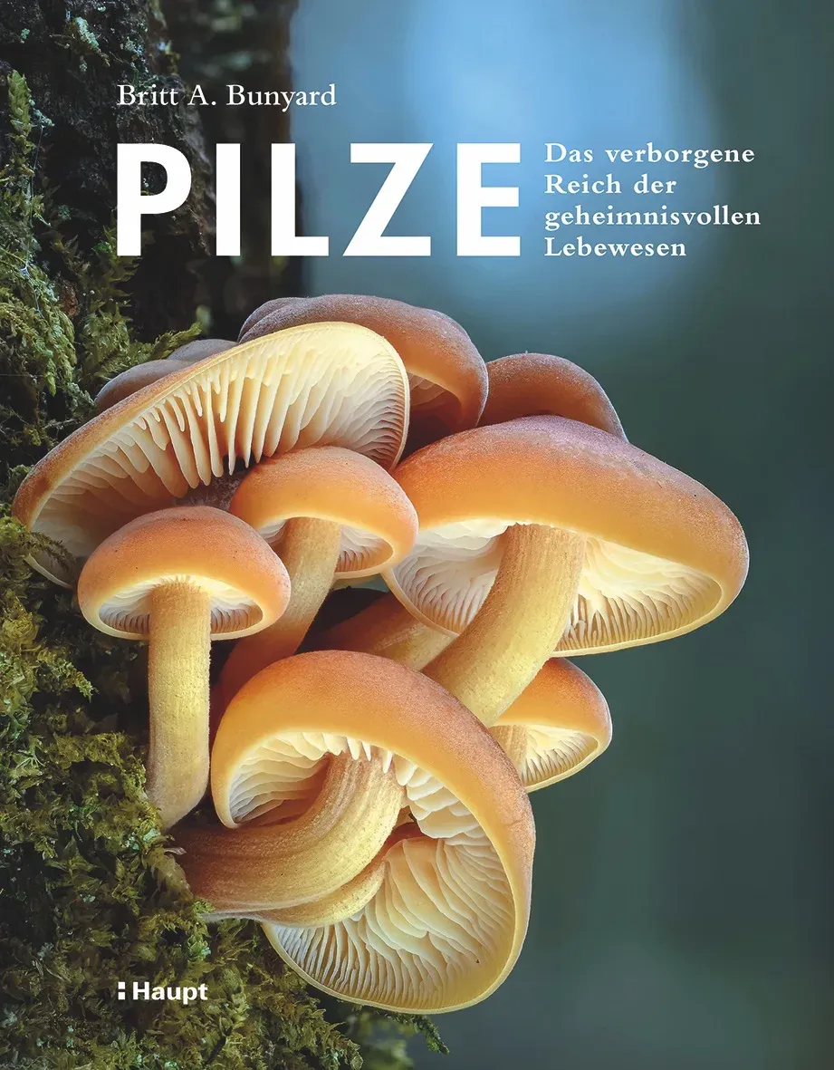 Pilze buchcover