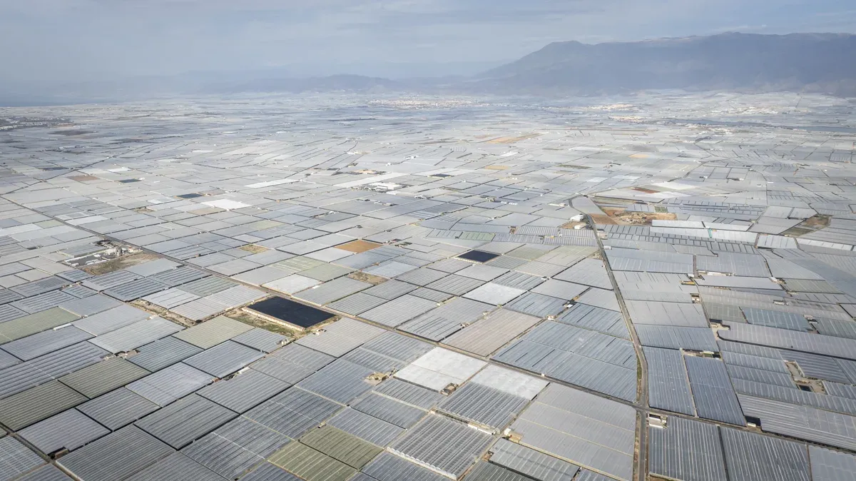 Bildausschnitt vom „Plastik-Meer” der Tomatenproduktion unter Folie in Almería/Südspanien