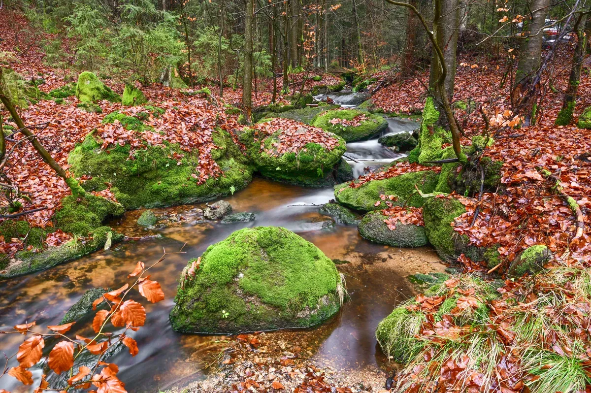 Herbstimpression am Strudelbach