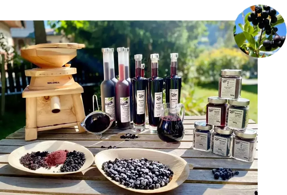 Strauchpatenschaft – für ein Jahr – mit Aronia-Paket